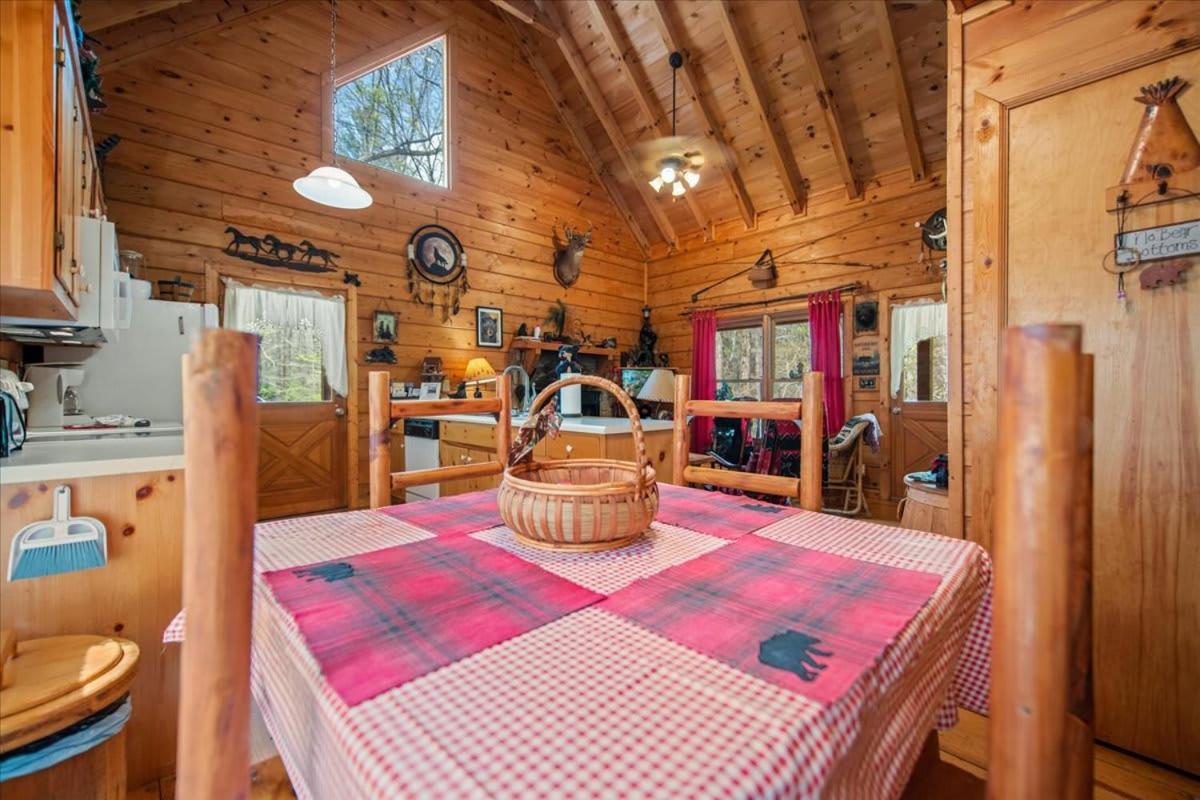 Cozy Cabin Beside Briar Creek, Fire Pit, Wifi Villa Ellijay Exterior photo